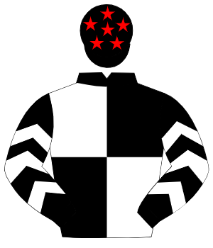 BLACK & WHITE QUARTERED, white chevrons on sleeves, black cap, red stars