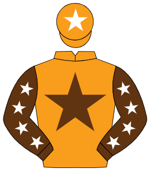 ORANGE, brown star, brown sleeves, white stars, orange cap, white star