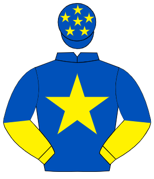 ROYAL BLUE, yellow star, yellow & royal blue halved sleeves, royal blue cap, yellow stars