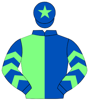 ROYAL BLUE & LIGHT GREEN HALVED, light green chevrons on sleeves, light green star on cap