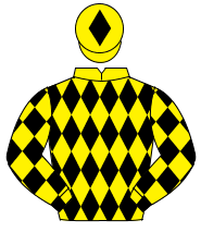 YELLOW & BLACK DIAMONDS, black sleeves, yellow diamonds, yellow cap, black diamond