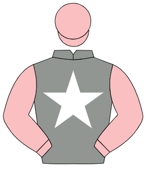 GREY, white star, pink sleeves & cap
