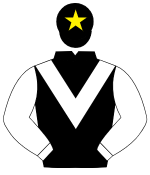 BLACK, white chevron & sleeves, black cap, yellow star