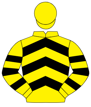 YELLOW & BLACK CHEVRONS, hooped sleeves, yellow cap