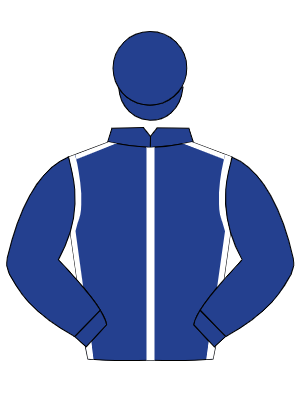 DARK BLUE, white seams, dark blue sleeves & cap
