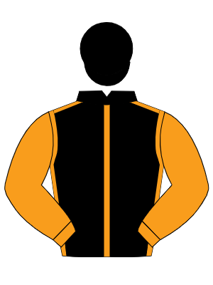 BLACK, orange seams & sleeves, black cap
