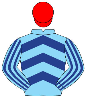LIGHT BLUE & DARK BLUE CHEVRONS, striped sleeves, red cap