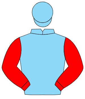 LIGHT BLUE, red sleeves, light blue cap