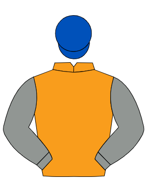 ORANGE, grey sleeves, royal blue cap