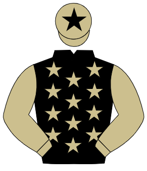 BLACK, beige stars, beige sleeves, beige cap, black star