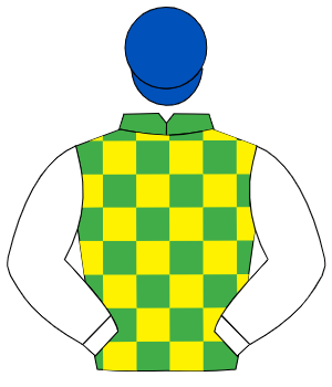 EMERALD GREEN & YELLOW CHECK, white sleeves, royal blue cap