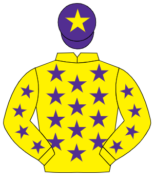 YELLOW, purple stars, purple cap, yellow star