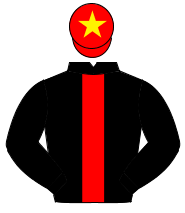 BLACK, red panel, red cap, yellow star                                                                                                                
