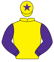 YELLOW, purple sleeves, yellow cap, purple star                                                                                                       