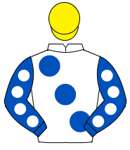 WHITE, large royal blue spots, royal blue sleeves, white spots, yellow cap