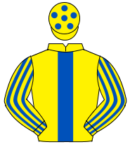YELLOW, royal blue panel, striped sleeves, yellow cap, royal blue spots                                                                               