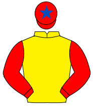 YELLOW, red sleeves, red cap, royal blue star                                                                                                         