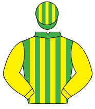 EMERALD GREEN & YELLOW STRIPES, yellow sleeves, striped cap                                                                                           