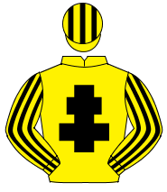 YELLOW, black cross of lorraine, striped sleeves & cap                                                                                                