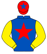 ROYAL BLUE, red star, yellow sleeves, red cap, royal blue star                                                                                        