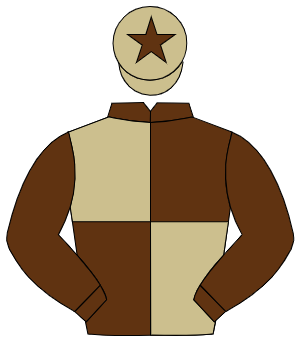BROWN & BEIGE QUARTERED, brown sleeves, beige cap, brown star