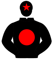 BLACK, red disc, black cap, red star                                                                                                                  