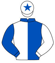 ROYAL BLUE & WHITE HALVED, sleeves reversed, white cap, royal blue star                                                                               