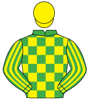 EMERALD GREEN & YELLOW CHECK, striped sleeves, yellow cap                                                                                             