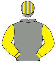 GREY, yellow sleeves, striped cap                                                                                                                     
