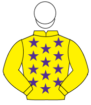 YELLOW, purple stars, yellow sleeves, white cap                                                                                                       