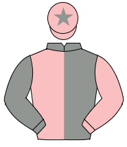 GREY & PINK HALVED, sleeves reversed, pink cap, grey star                                                                                             