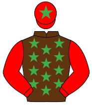 BROWN, emerald green stars, red sleeves, red cap, emerald green star                                                                                  