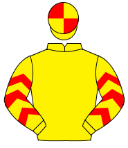 YELLOW, red chevrons on sleeves, quartered cap                                                                                                        