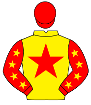 YELLOW, red star, red sleeves, yellow stars, red cap                                                                                                  