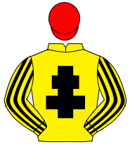 YELLOW, black cross of lorraine, striped sleeves, red cap                                                                                             