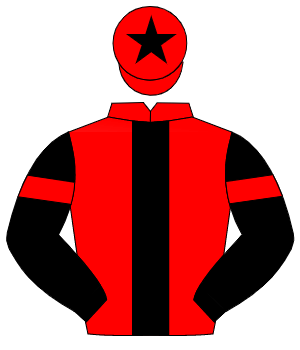 RED, black panel, black sleeves, red armlet, red cap, black star                                                                                      