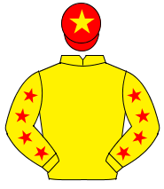 YELLOW, red stars on sleeves, red cap, yellow star                                                                                                    