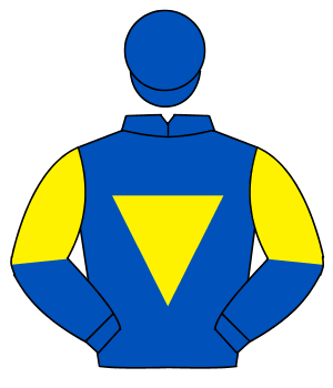 ROYAL BLUE, yellow inverted triangle, halved sleeves, royal blue cap                                                                                  