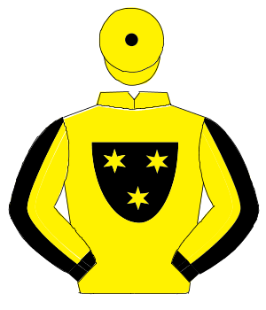 YELLOW, black shield with stars emblem, yellow & black vertical halved sleeves, yellow cap, black button