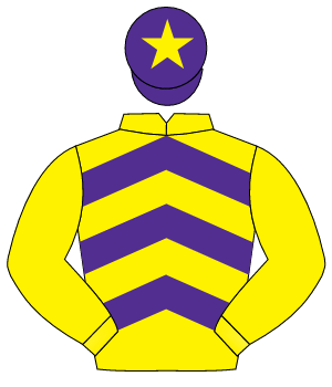YELLOW & PURPLE CHEVRONS, yellow sleeves, purple cap, yellow star