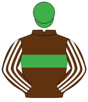BROWN, green hoop, brown & white striped sleeves, green cap