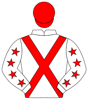 WHITE, red cross sashes, red stars on sleeves, red cap                                                                                                