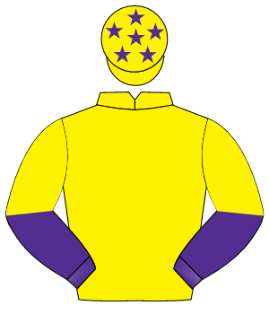 YELLOW, purple & yellow halved sleeves, yellow cap, purple stars                                                                                      