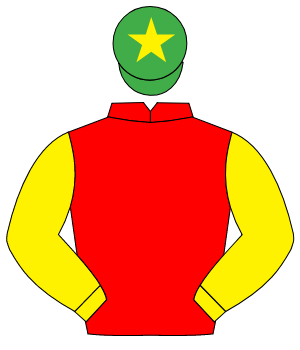 RED, yellow sleeves, emerald green cap, yellow star                                                                                                   