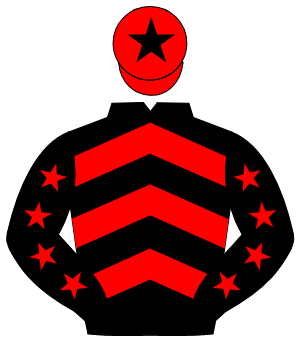 BLACK & RED CHEVRONS, red stars on sleeves, red cap, black star                                                                                       