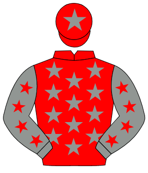 RED, grey stars, grey sleeves, red stars, red cap, grey star                                                                                          