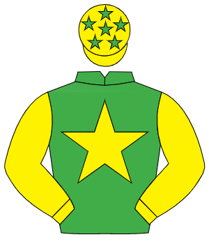 EMERALD GREEN, yellow star & sleeves, yellow cap, emerald green stars                                                                                 