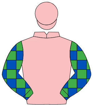 PINK, Gordon Tartan sleeves, pink cap