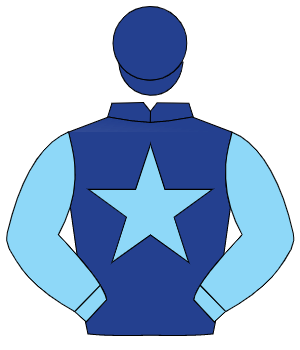 DARK BLUE, light blue star & sleeves, dark blue cap                                                                                                   