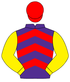 PURPLE & RED CHEVRONS, yellow sleeves, red cap                                                                                                        